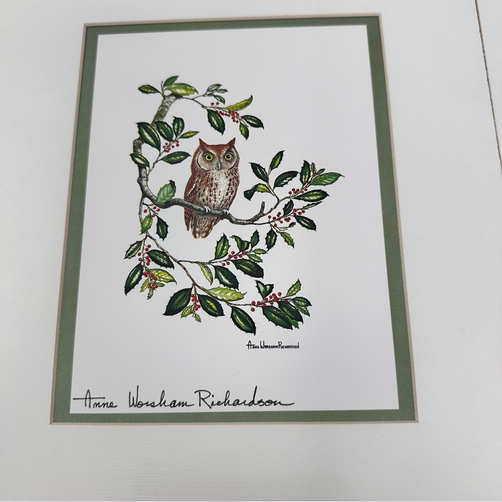 Anne Worsham Richardson Screech Owl and Saw Whet Owl
Signed Prints - Picture 3 of 16